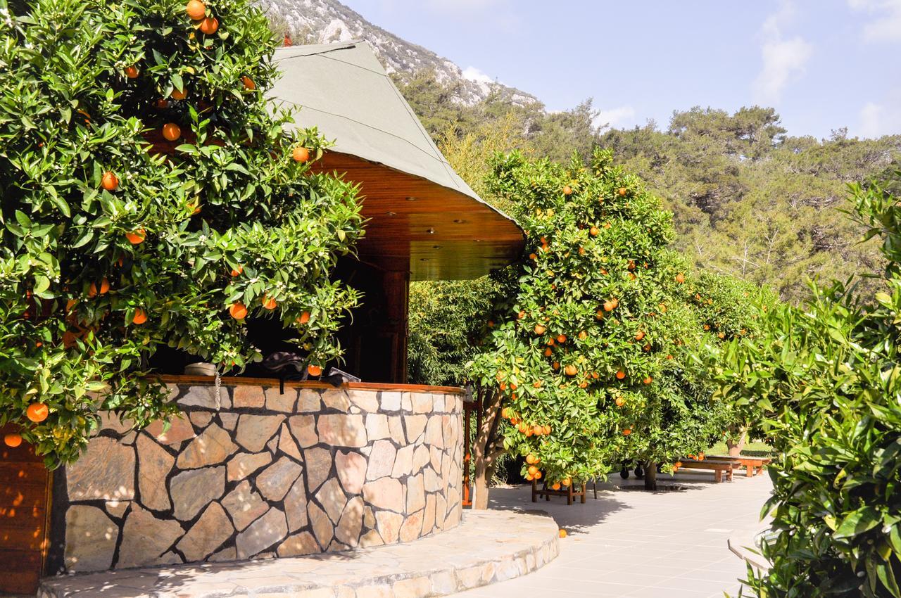 Arcadia Villa Cirali