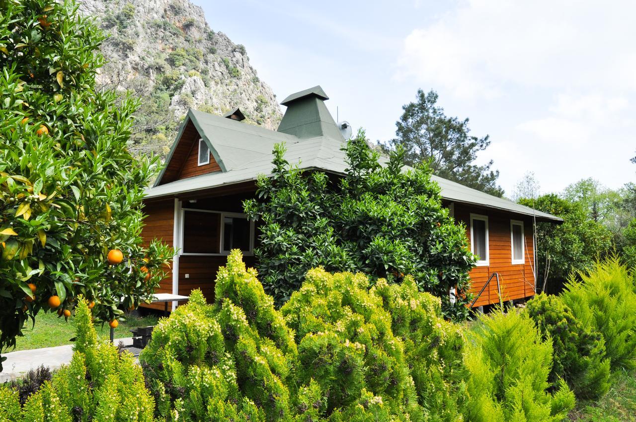 Villa Arcadia Cirali