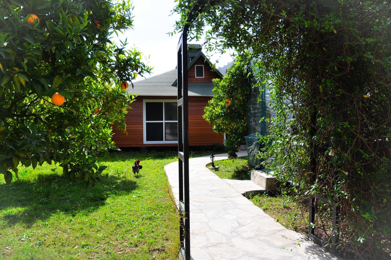 Villa Arcadia