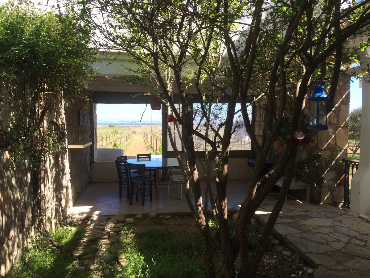 Bed & Breakfast Casa Mini Bozcaada