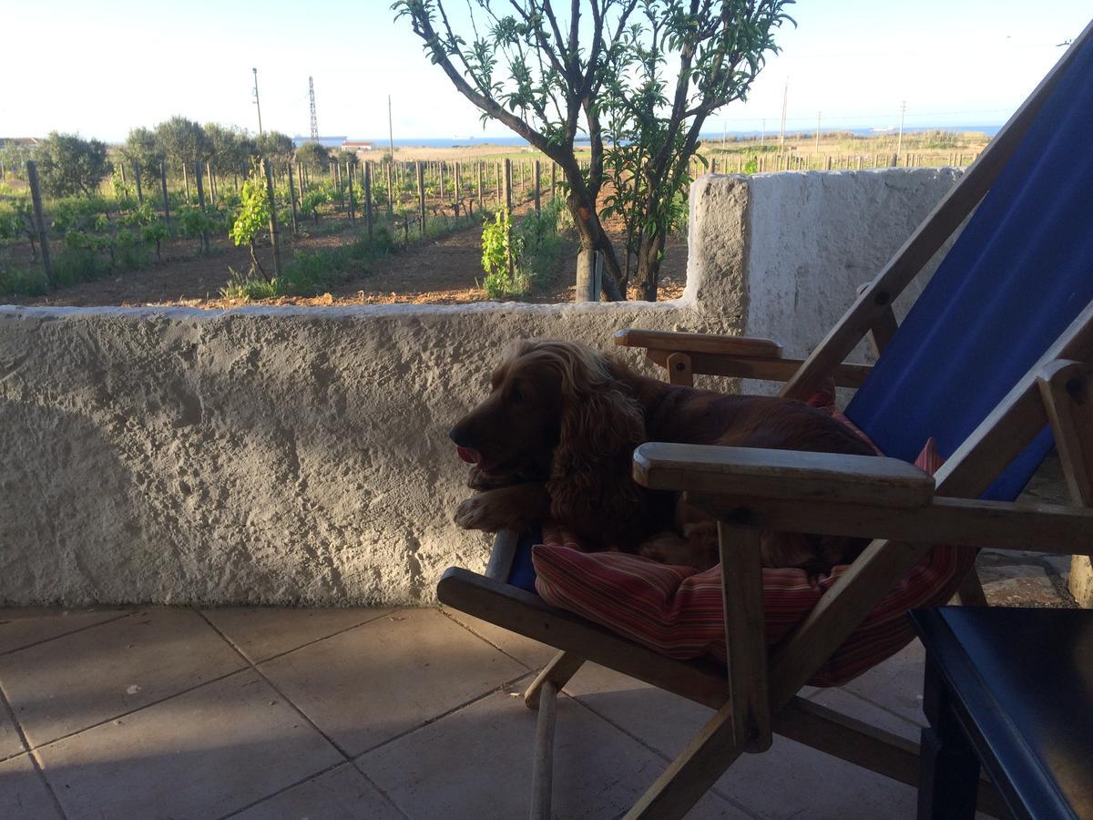 Bed & Breakfast Casa Mini Bozcaada *