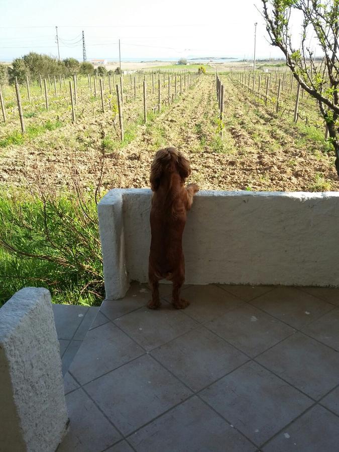 Casa Mini Bozcaada * Bozcaada