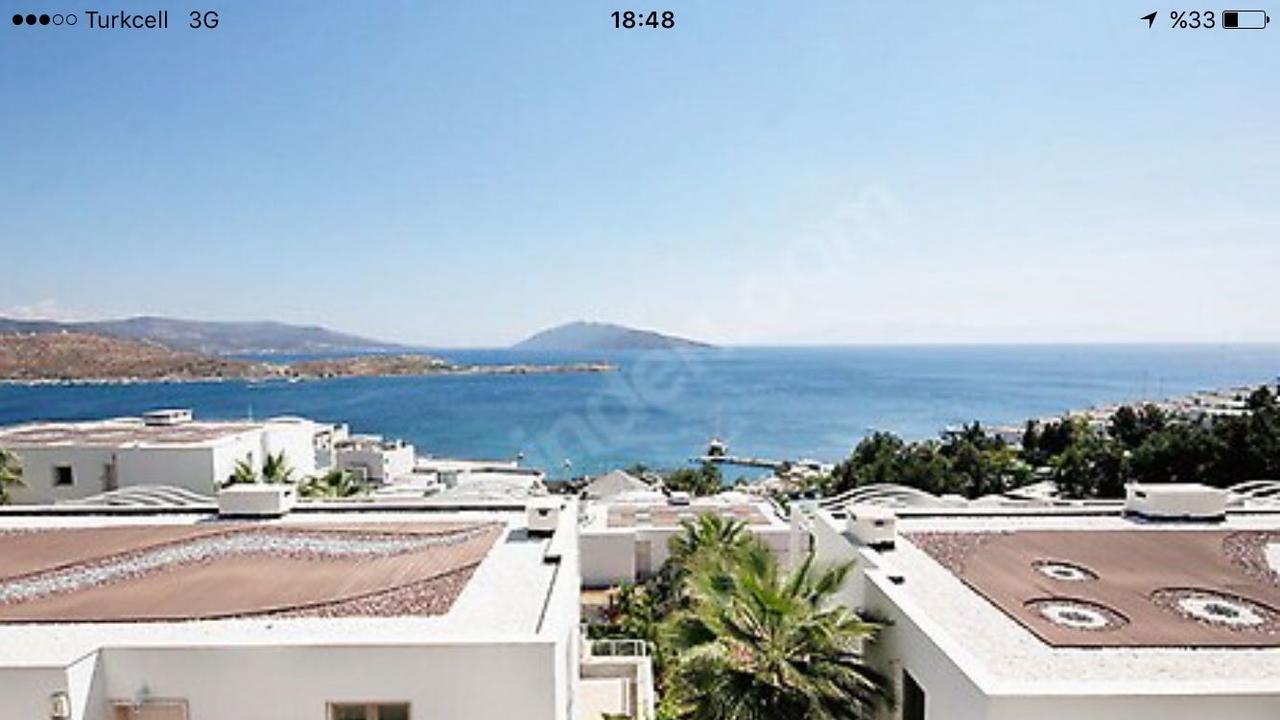 Villa Oasis *