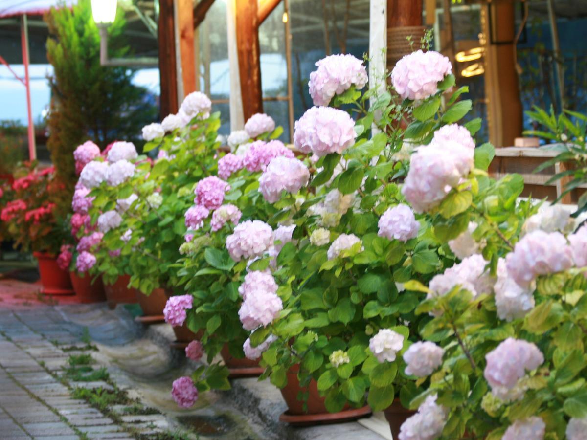 Tahir - Adult Only Hotel Agva (Marmara)