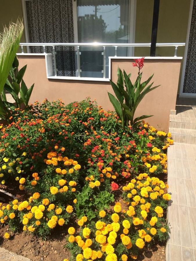 Aparthotel Esmeralda Apart Butik *