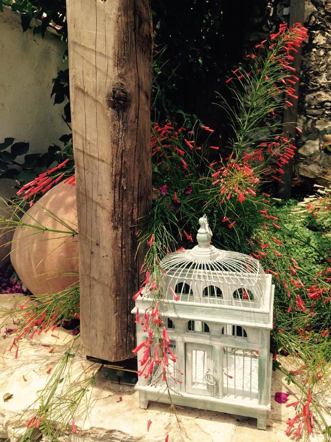 The White House * Kalkan