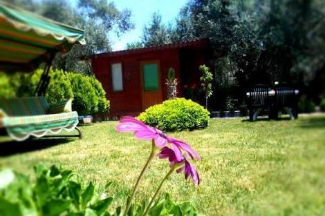 Orchidee Bungalow Hotel Sazli