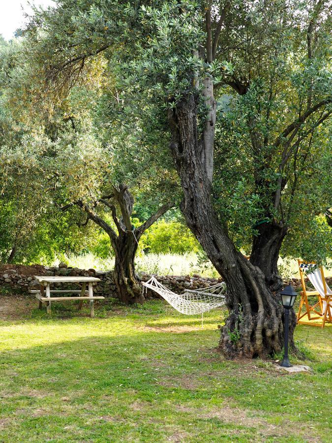 Emel Hotel Guzelcamli