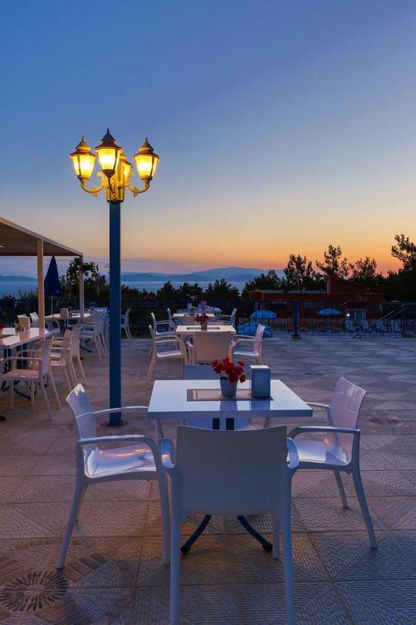 Sunset Garden *