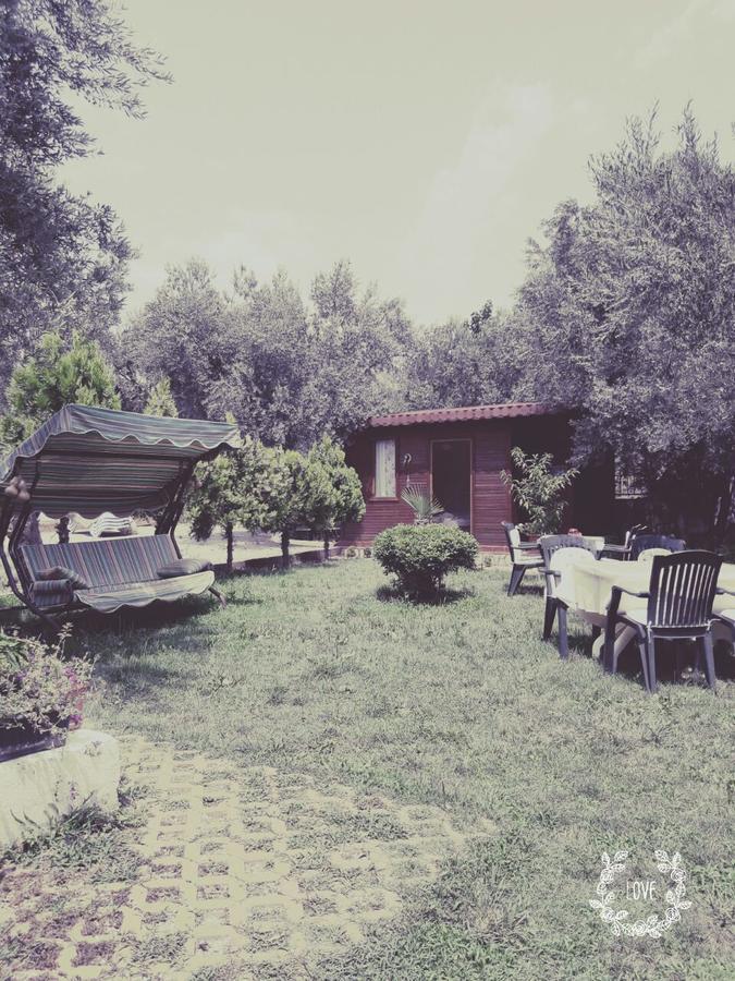 Orchidee Bungalow *