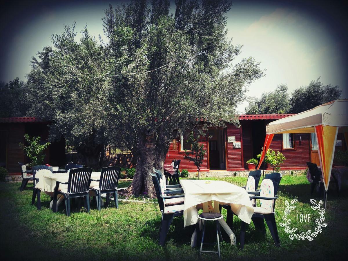 Hotel Orchidee Bungalow