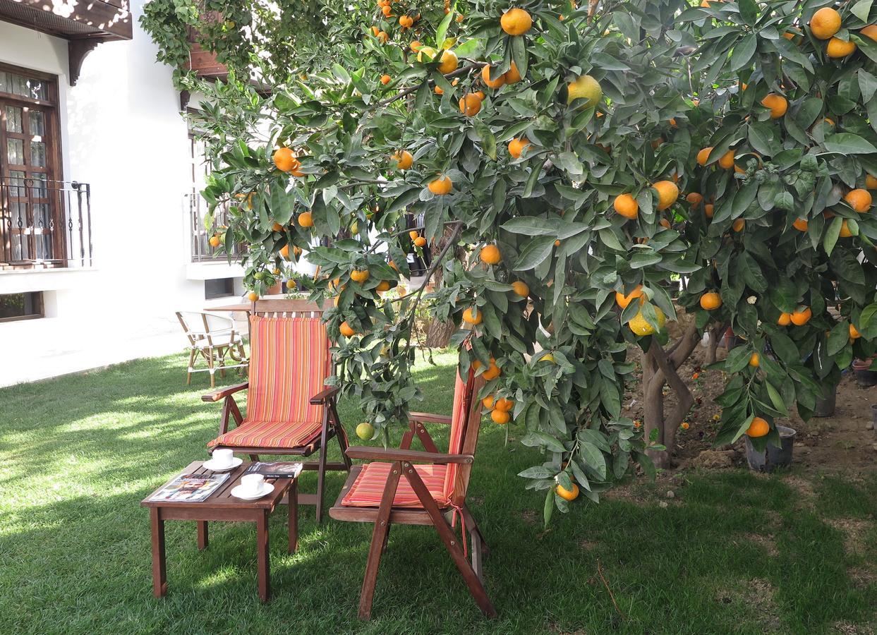 Ephesus Paradise 3* Selcuk
