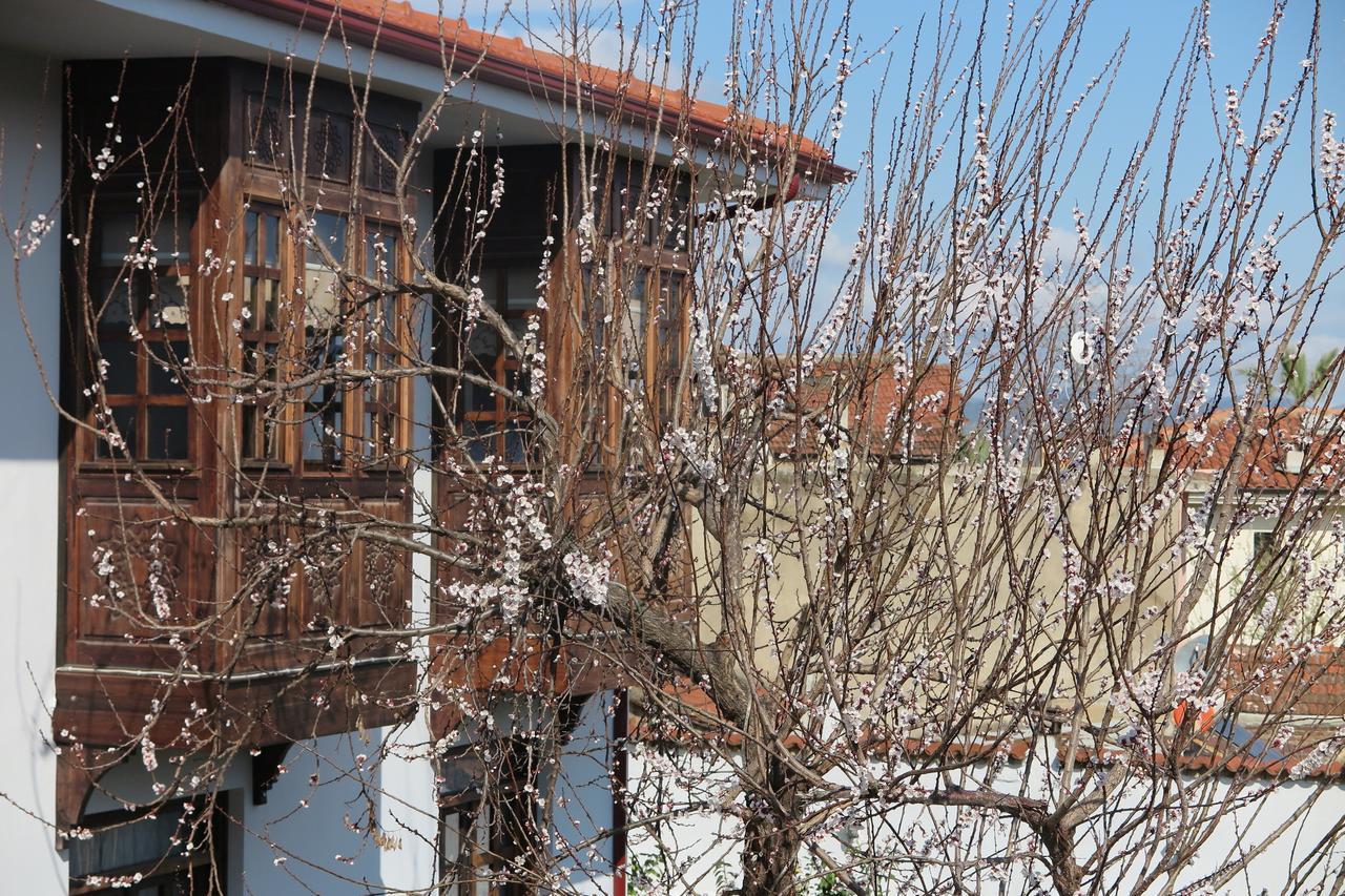 Ephesus Paradise Hotel 3*