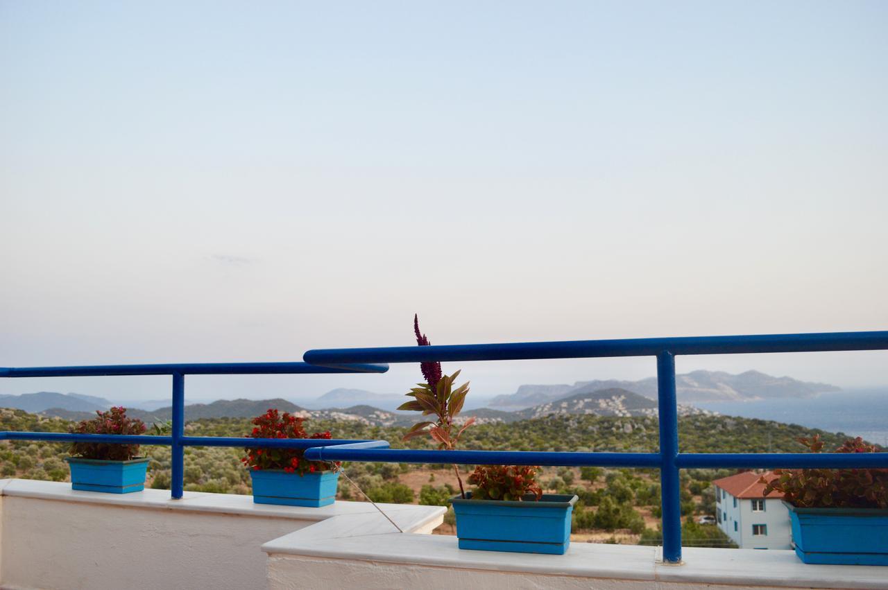 Guest house Miramar 4*