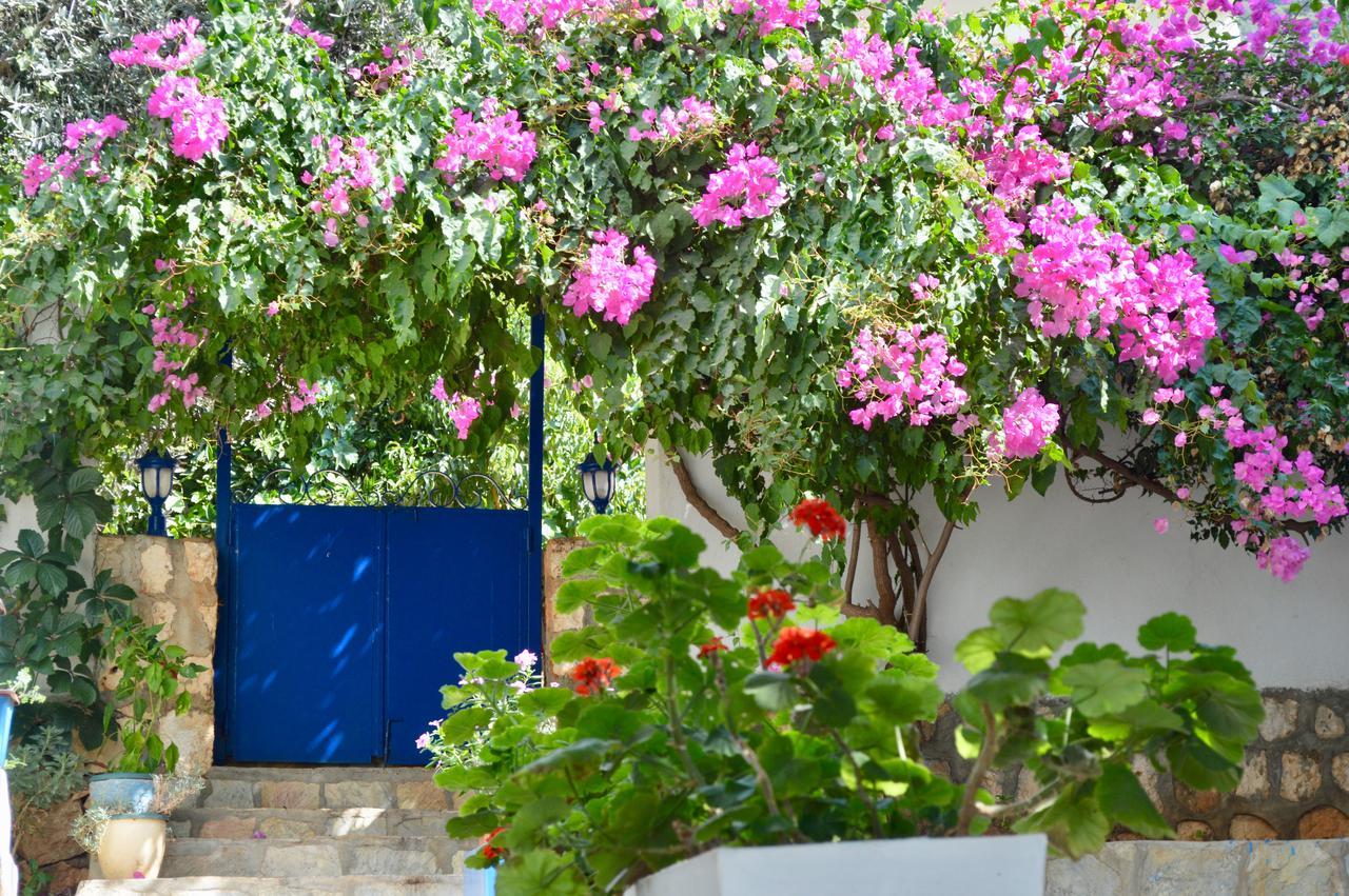 Miramar Guest house Kas