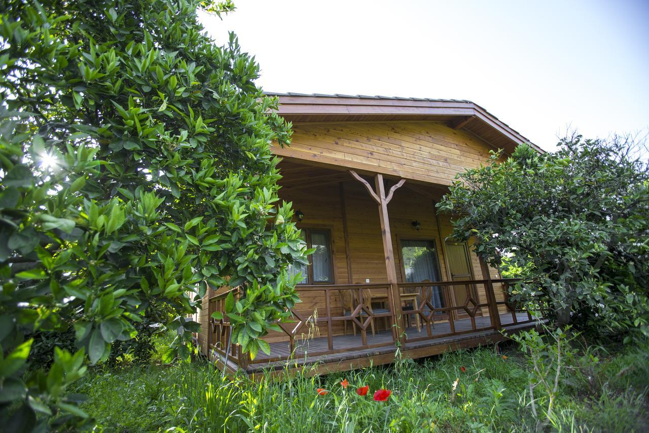 Villa Vi̇llas Cirali