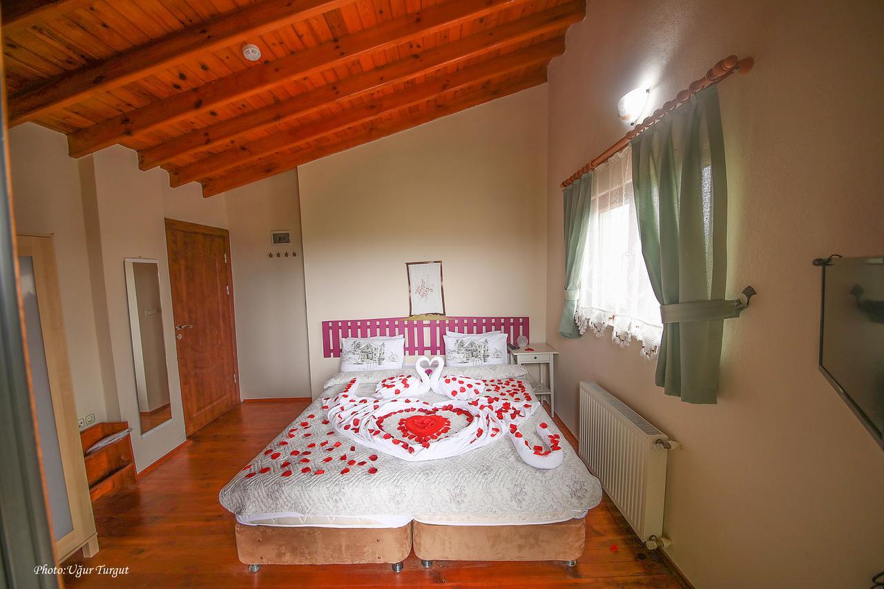 Motel Tartaruga 2*