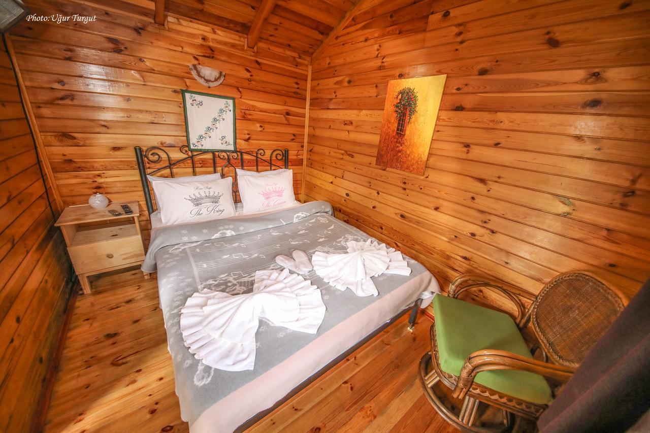 Tartaruga Motel Goce