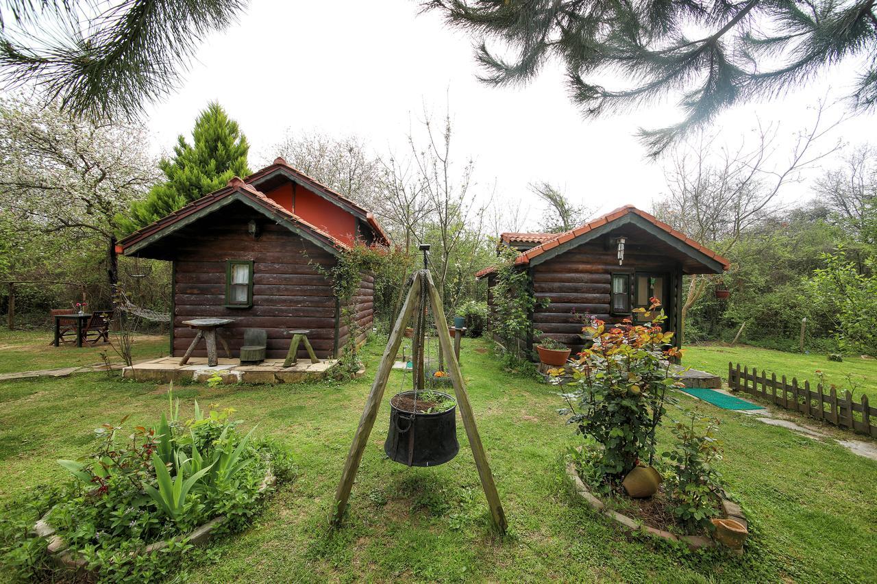 Tartaruga Motel Goce