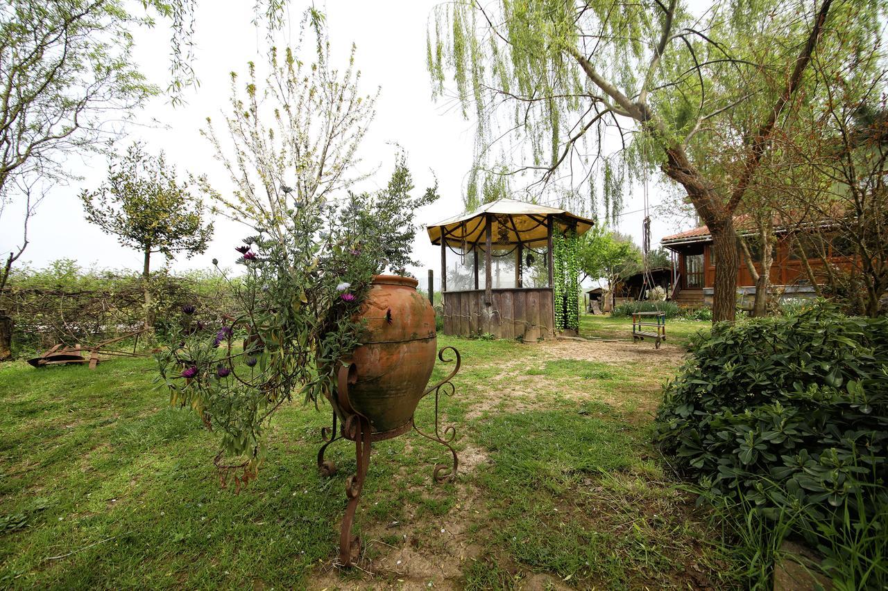 Motel Tartaruga