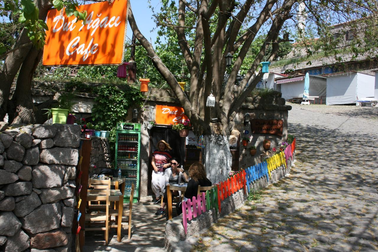 Dut Agaci Pension *