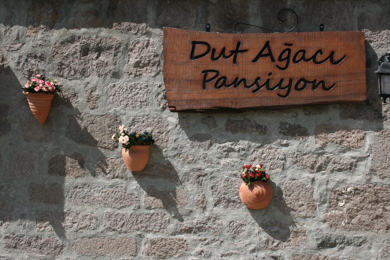 Dut Agaci Pension