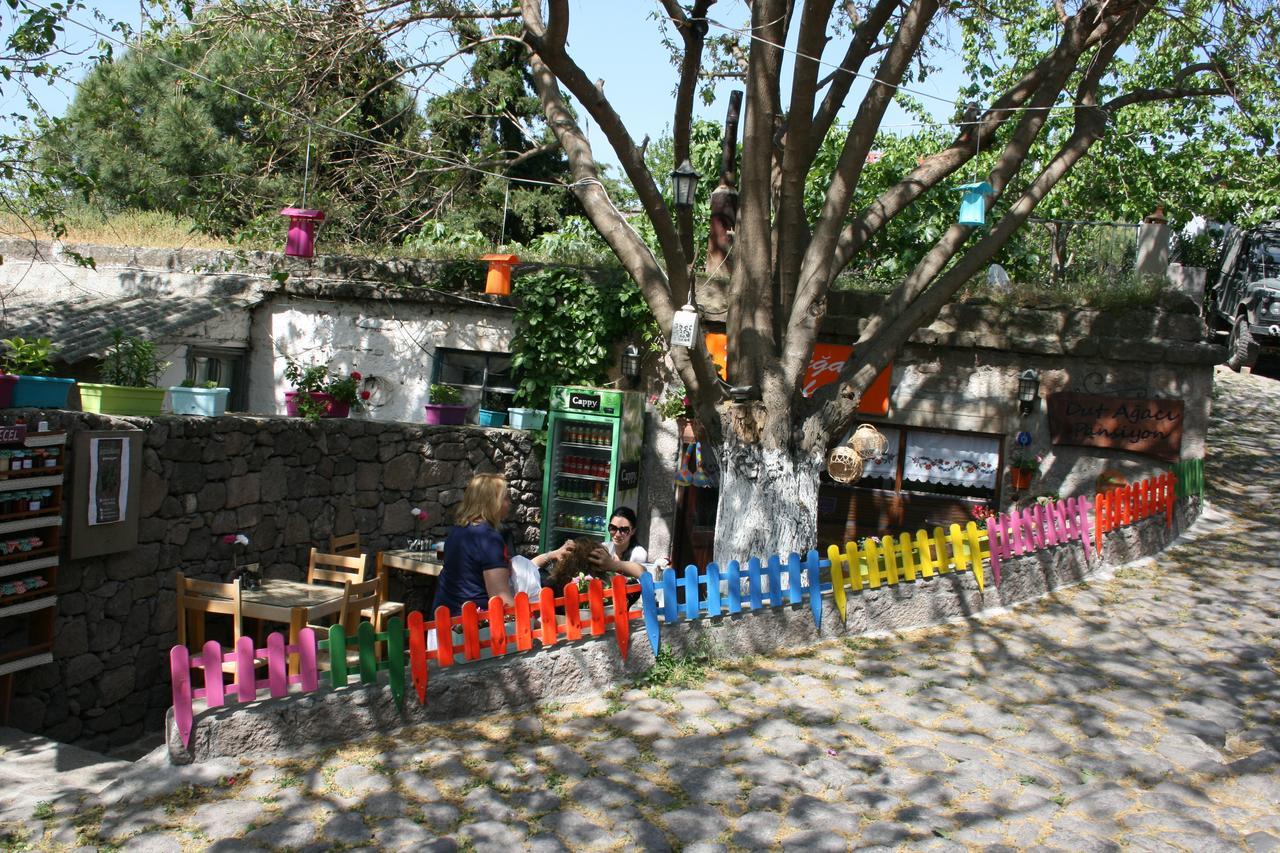 Dut Agaci Pension *