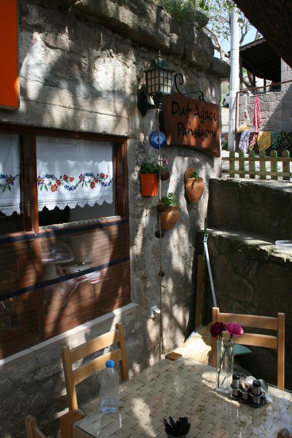 Dut Agaci Pension Homestay *