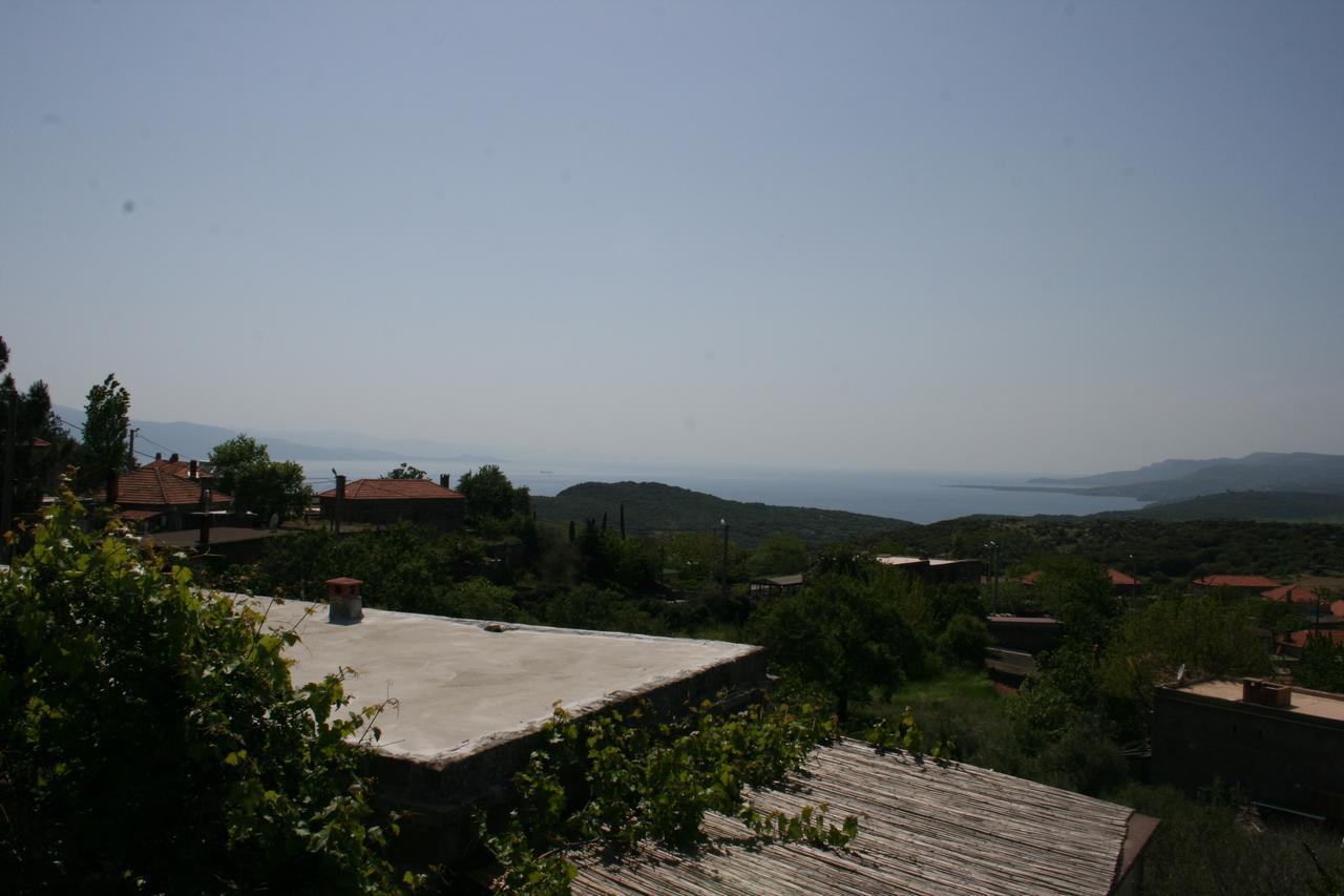 Homestay Dut Agaci Pension *