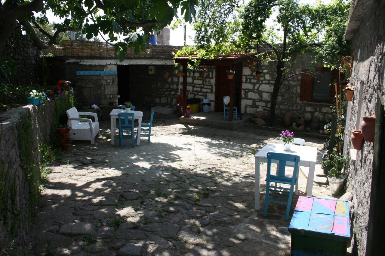Dut Agaci Pension