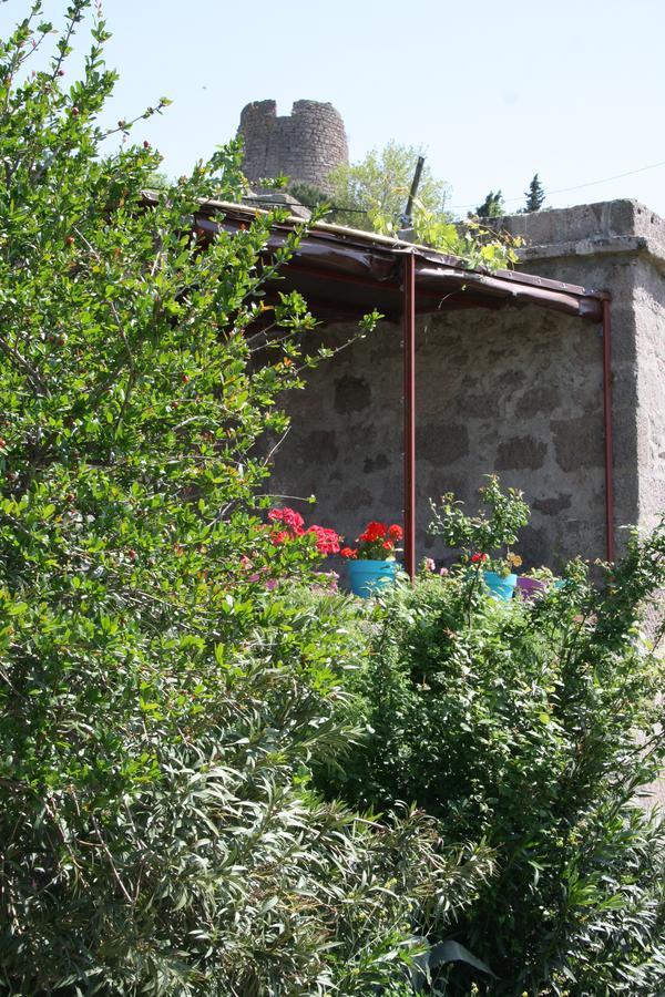Dut Agaci Pension Assos