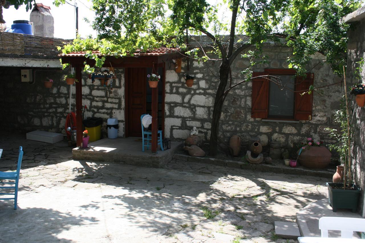 Dut Agaci Pension