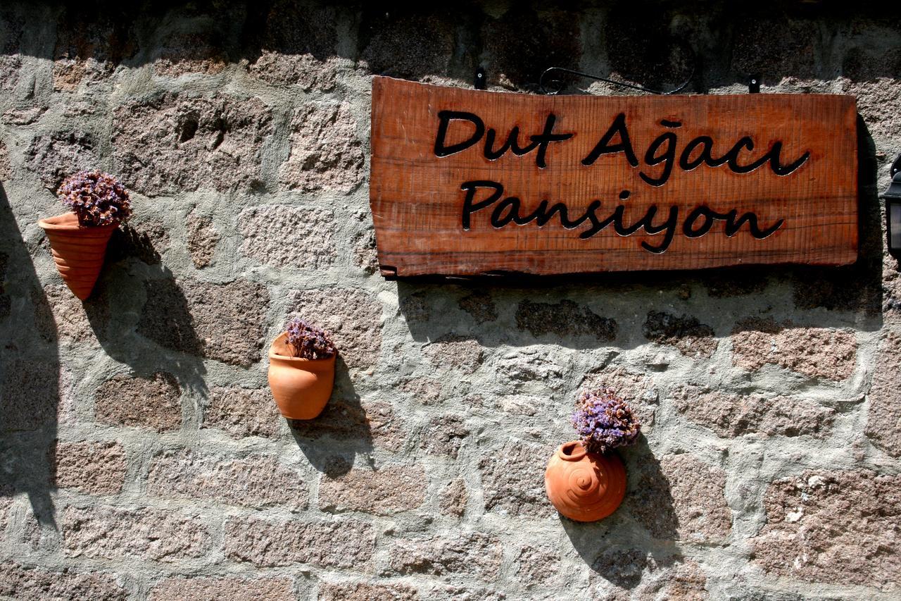 Dut Agaci Pension