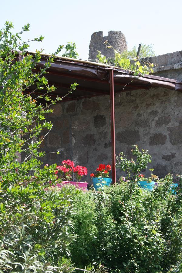 Dut Agaci Pension Homestay *