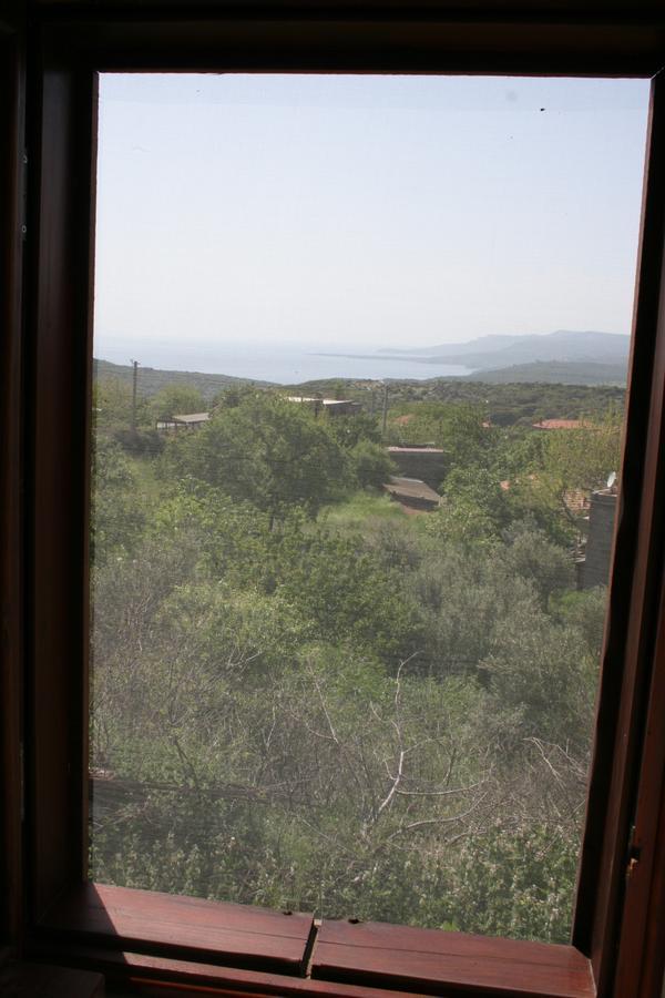Dut Agaci Pension Homestay Assos