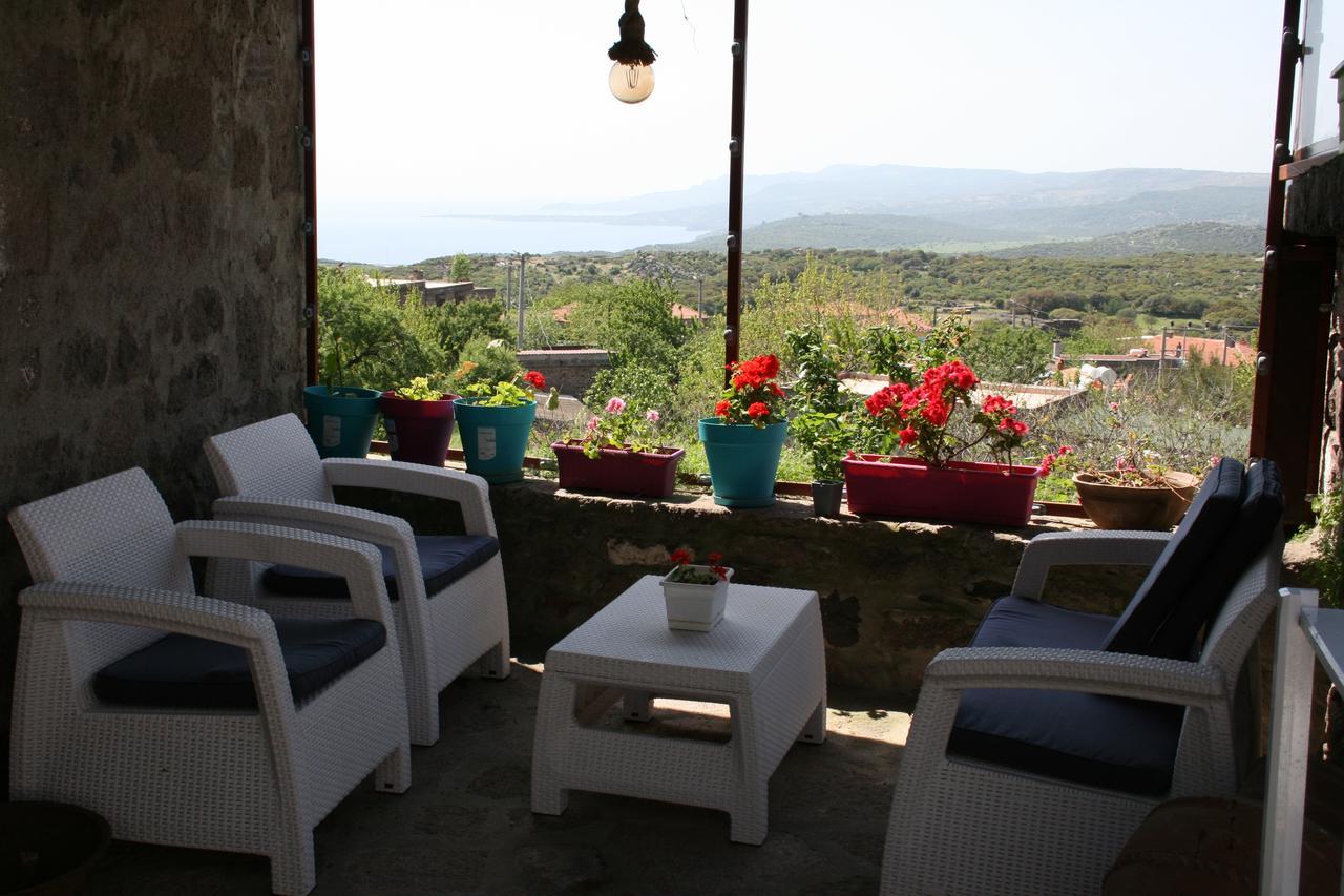 Dut Agaci Pension Assos