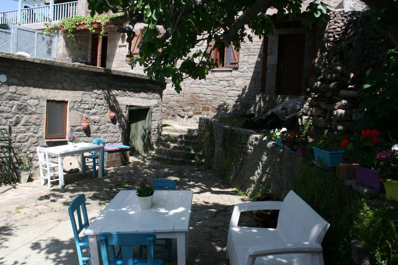Homestay Dut Agaci Pension *