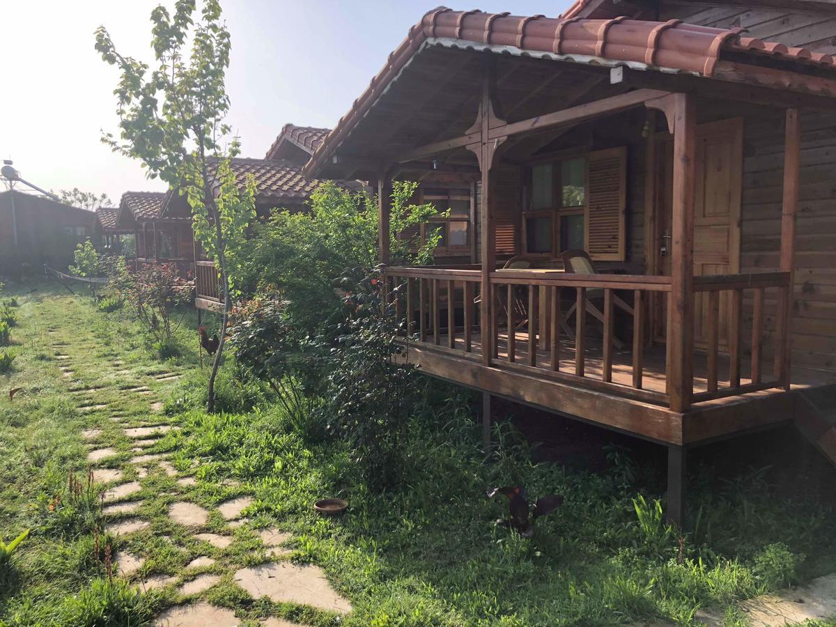 Aparthotel Servet Cirali