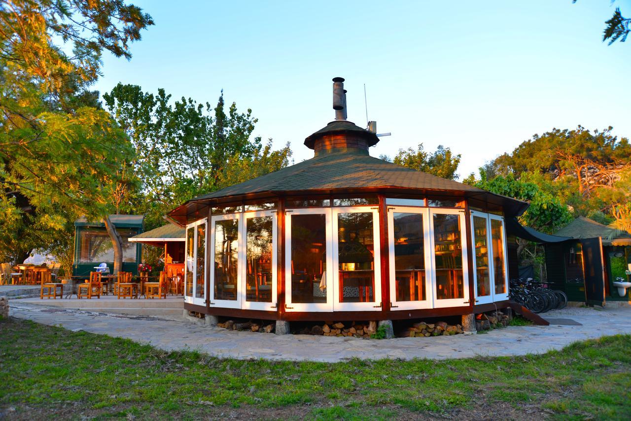 Arcadia *