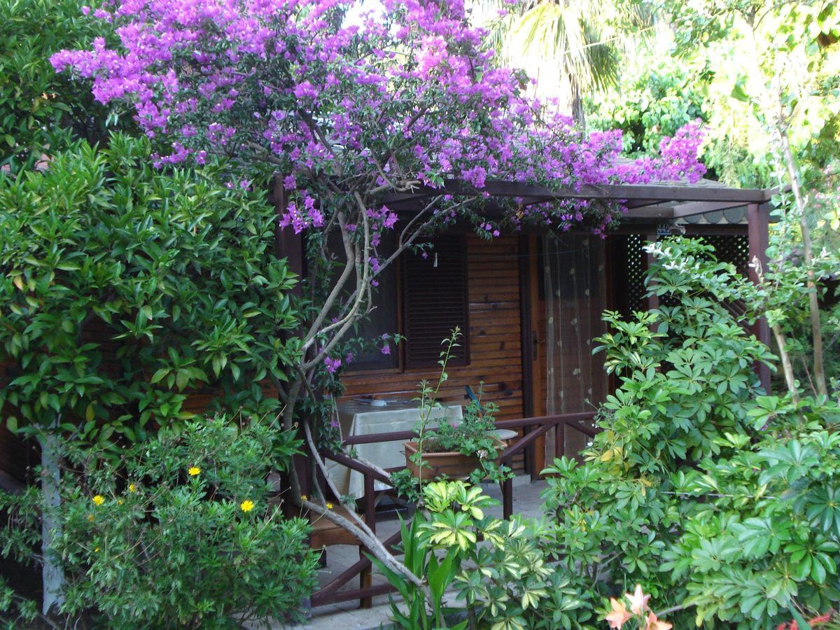Myland Nature Holiday park