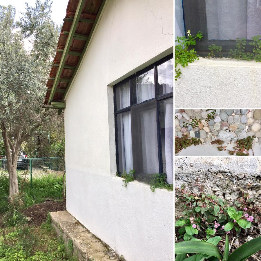 Friends Pension&camping Cirali