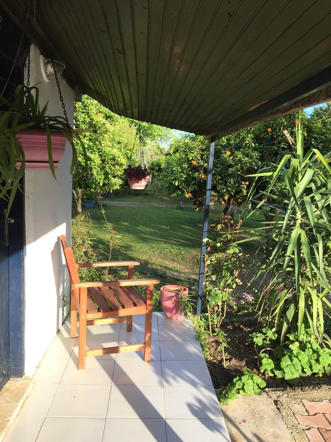 Friends Pension&camping