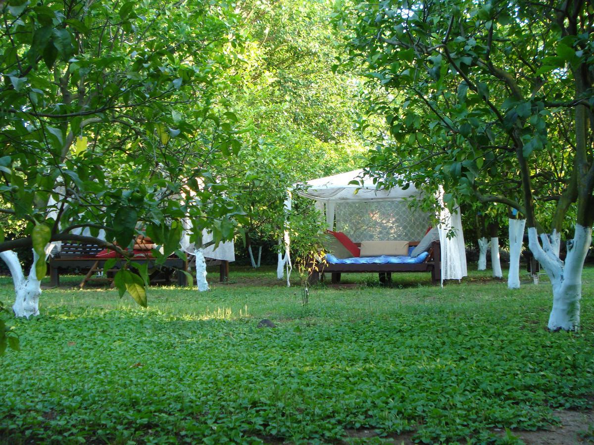 Myland Nature Cirali