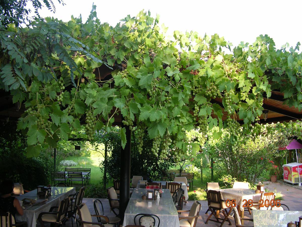 Holiday park Myland Nature Cirali
