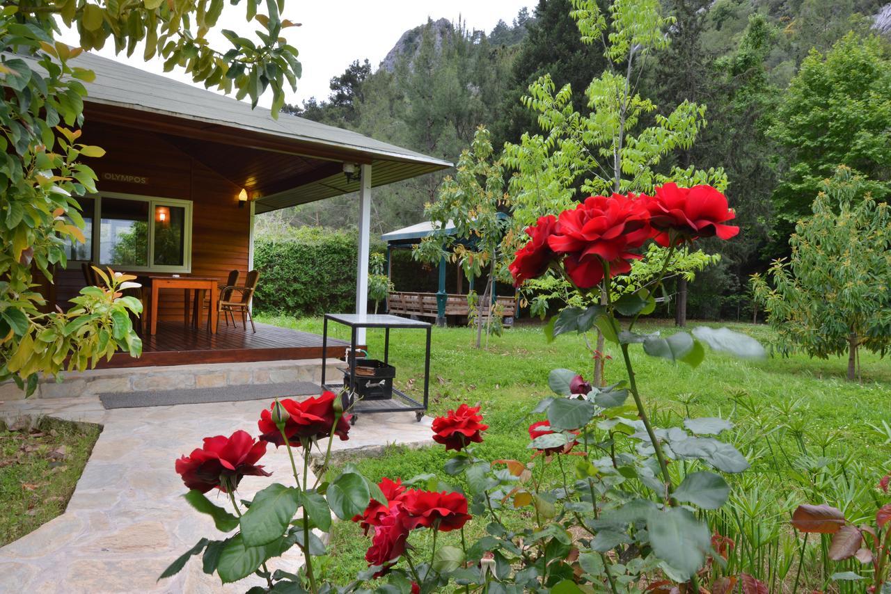 Villa Arcadia *
