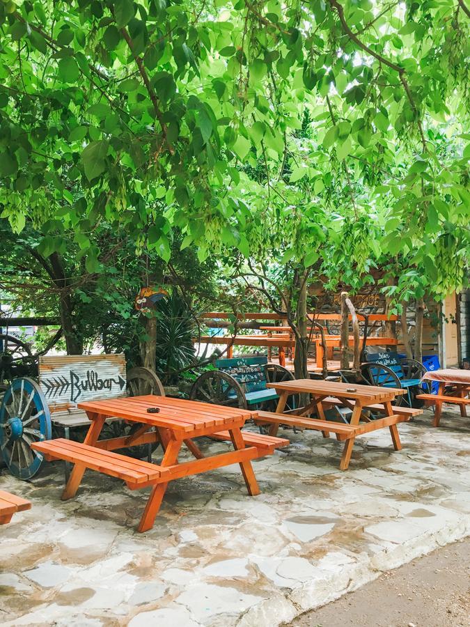 Hostel Kadir's Tree