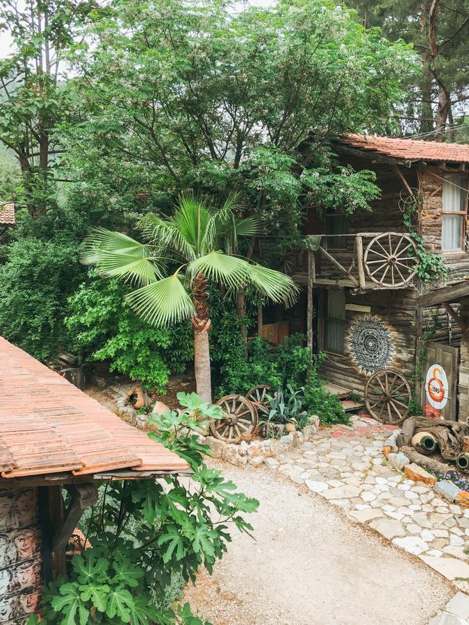 Kadir's Tree Hostel Kemer