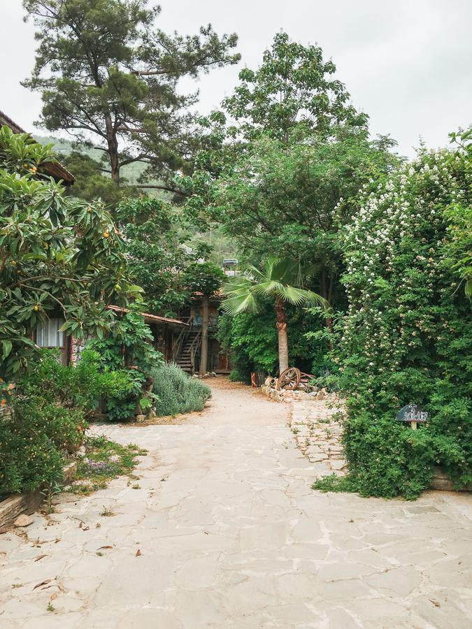 Kadir's Tree Hostel *