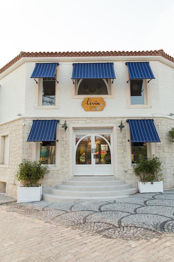 Levin