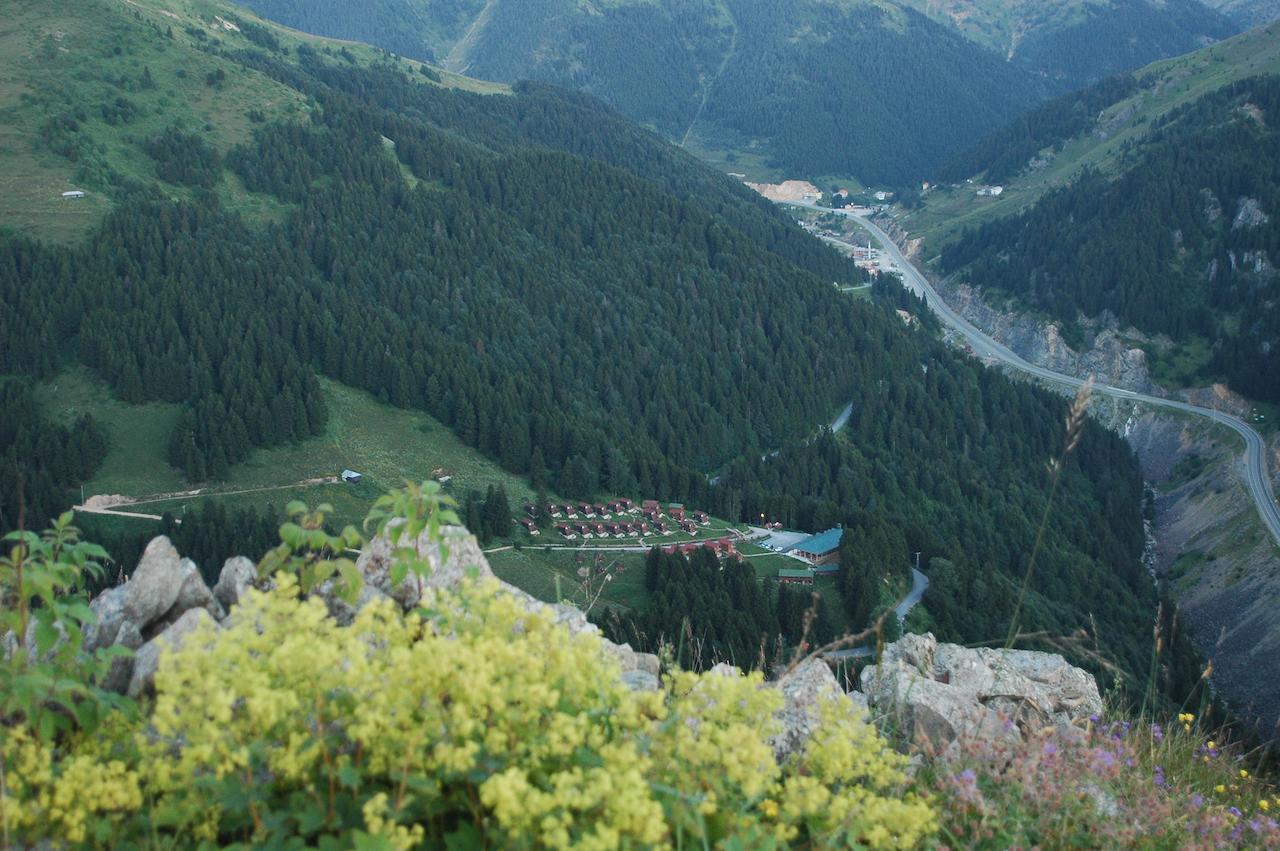 Zitas Zigana Yayla Tatil Koyu Resort 3*